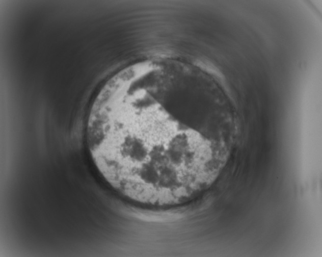 X0000088670012200706281931