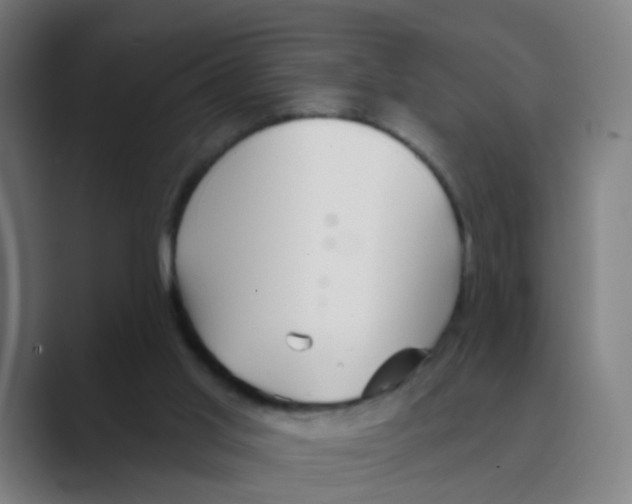 X0000088670013200706281931