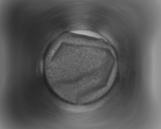 X0000088670014200706281931