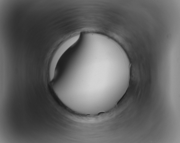 X0000088670015200706281931