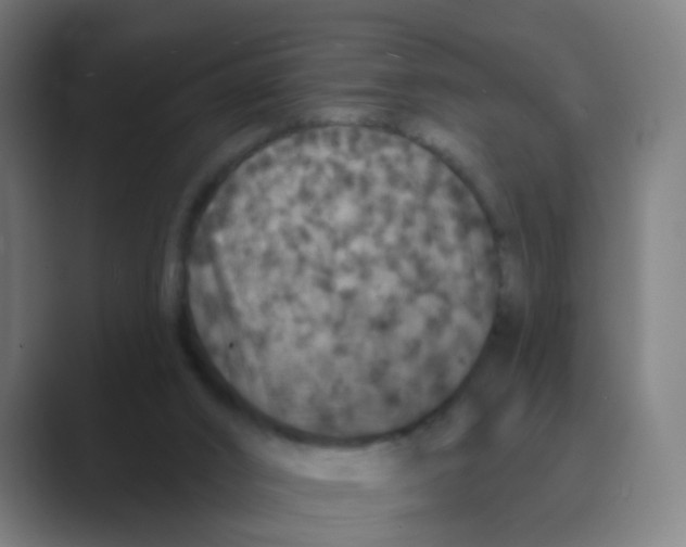 X0000088670016200706281931