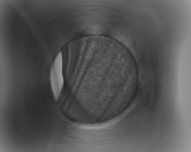 X0000088670017200706281931