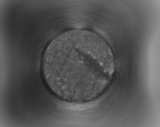 X0000088670018200706281931