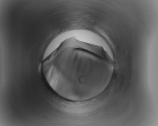 X0000088670019200706281931