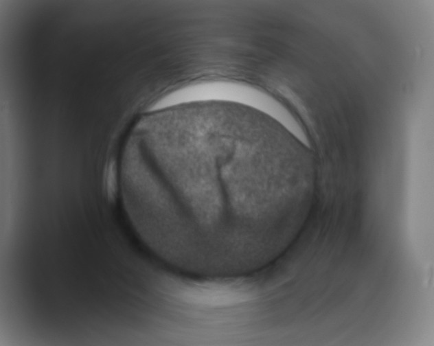 X0000088670020200706281931