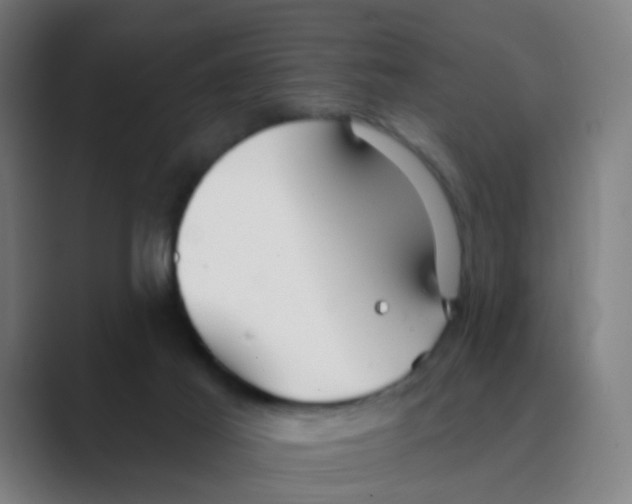X0000088670021200706281931