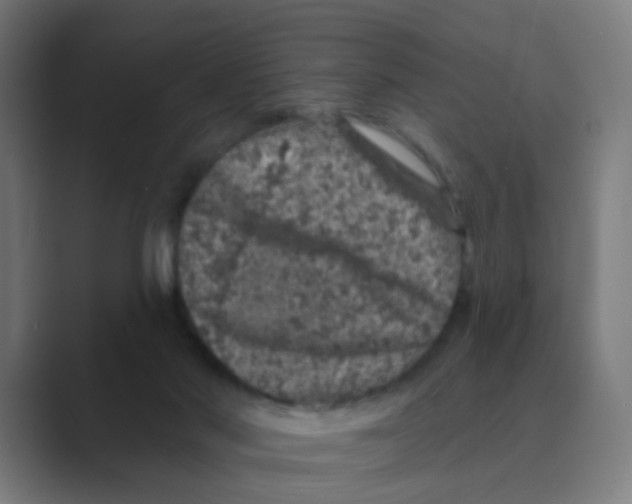 X0000088670022200706281931