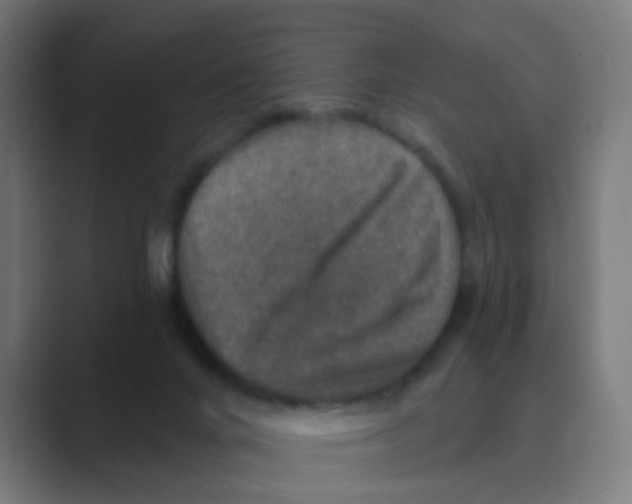 X0000088670024200706281931