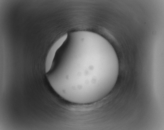 X0000088670025200706281931