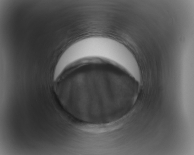 X0000088670029200706281931