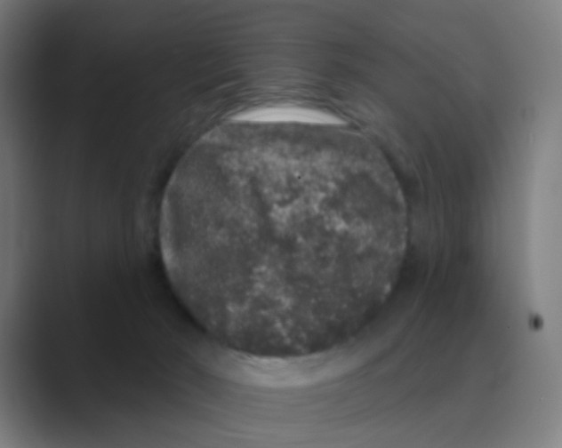X0000088670030200706281931