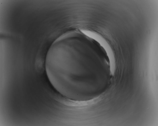 X0000088670031200706281931