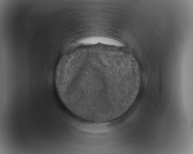 X0000088670032200706281931