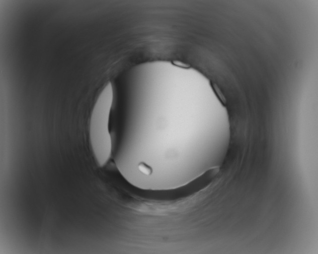 X0000088670033200706281931