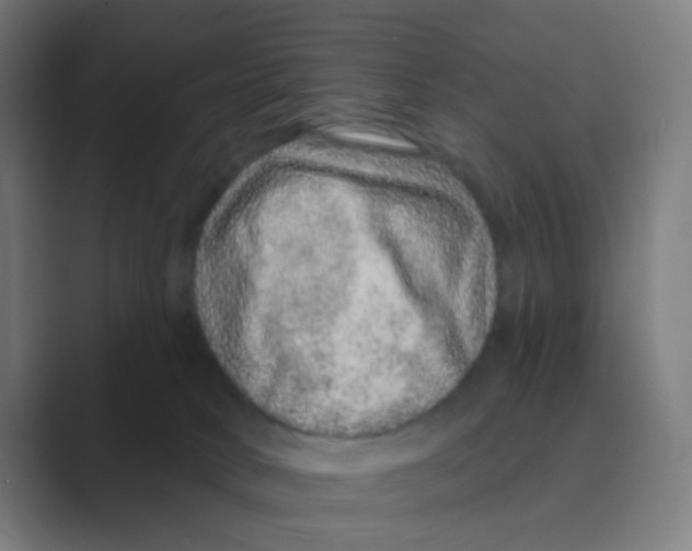 X0000088670034200706281931