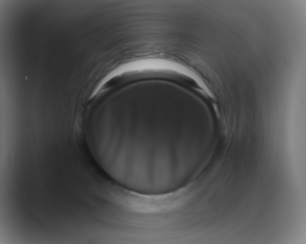 X0000088670035200706281931