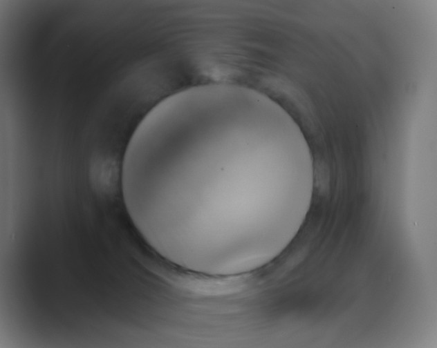 X0000088670036200706281931