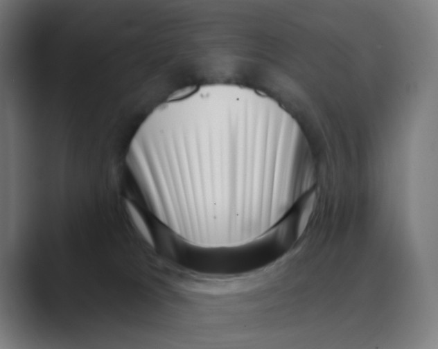 X0000088670037200706281931