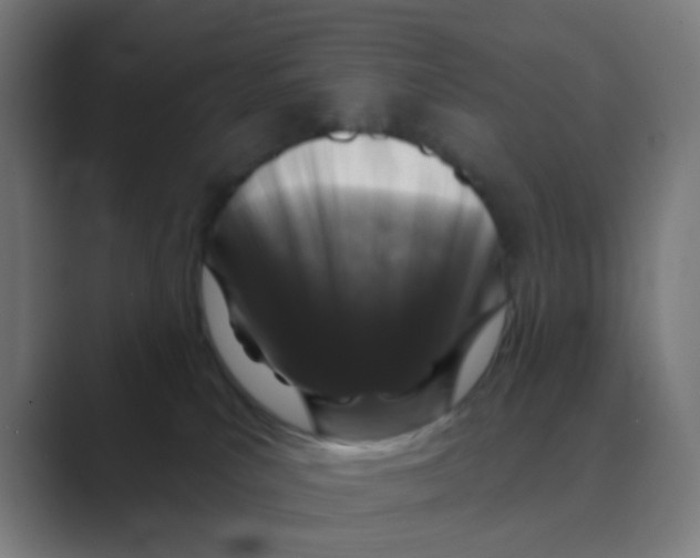 X0000088670039200706281931