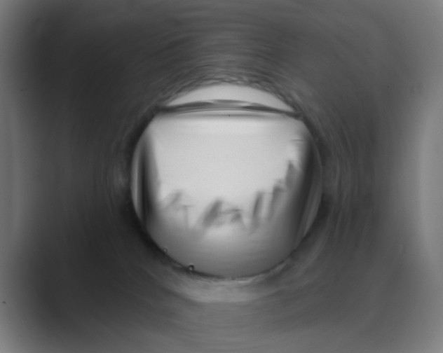 X0000088670040200706281931
