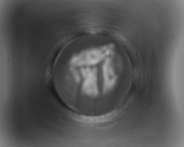 X0000088670043200706281930