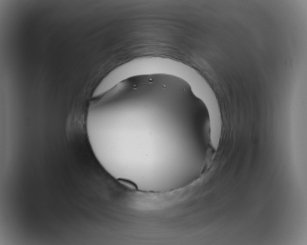 X0000088670045200706281930