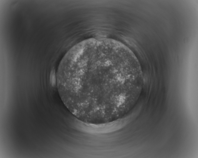 X0000088670046200706281930