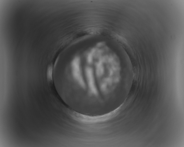 X0000088670047200706281930