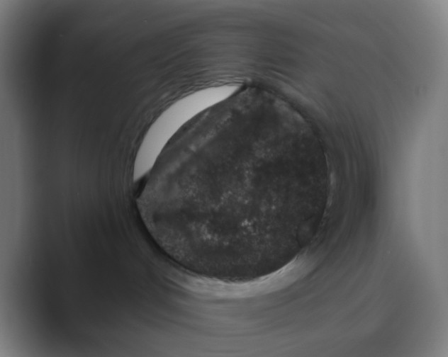 X0000088670048200706281930