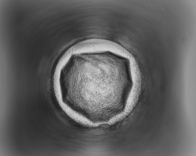 X0000088670050200706281930