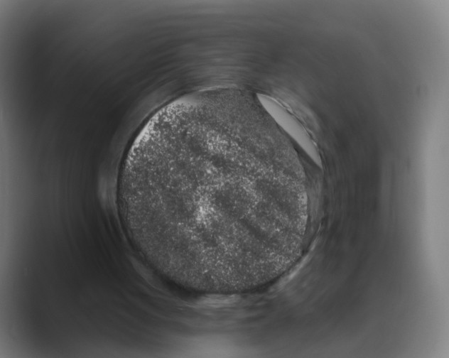 X0000088670051200706281930