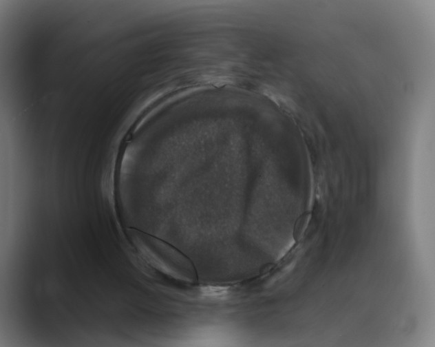 X0000088670052200706281930
