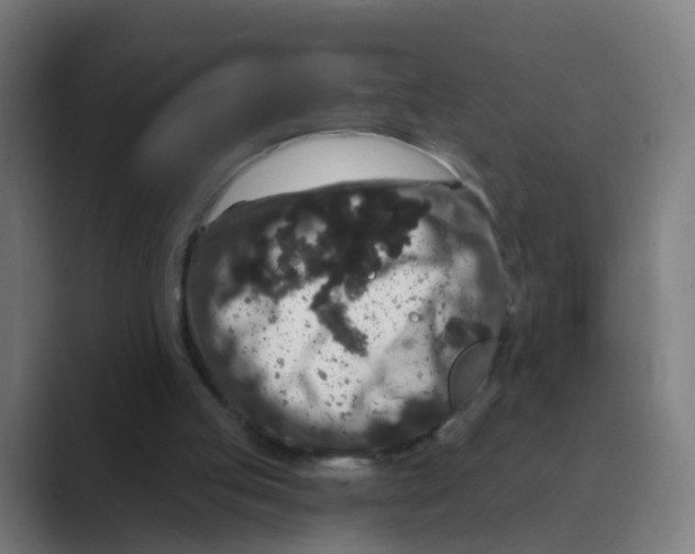 X0000088670053200706281930