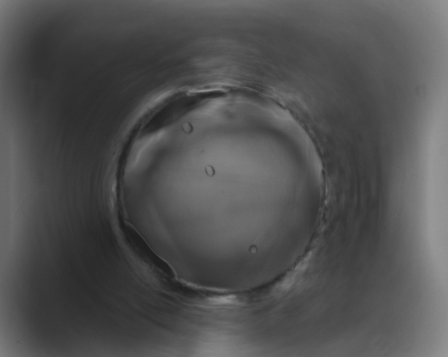 X0000088670054200706281930