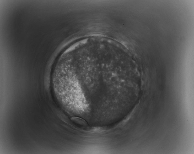 X0000088670056200706281930