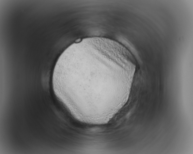 X0000088670058200706281930