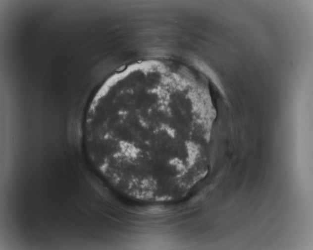X0000088670059200706281930