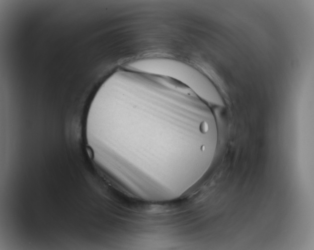 X0000088670060200706281930