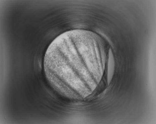 X0000088670062200706281930
