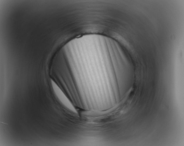 X0000088670064200706281930