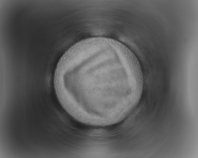 X0000088670066200706281930