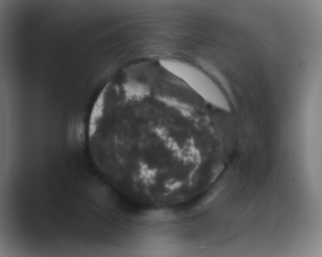 X0000088670067200706281930