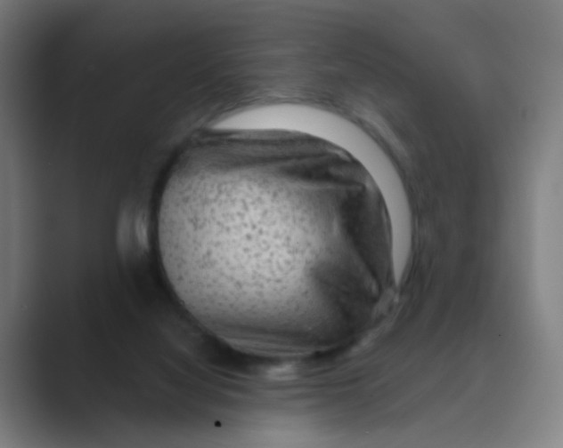 X0000088670068200706281930