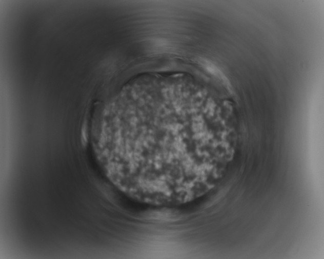 X0000088670069200706281930