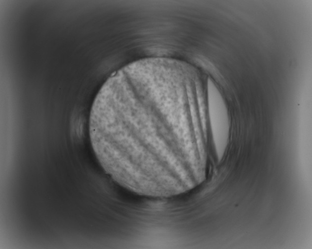 X0000088670071200706281930