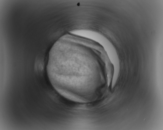 X0000088670072200706281930