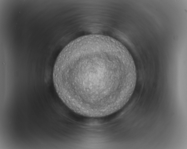 X0000088670073200706281930