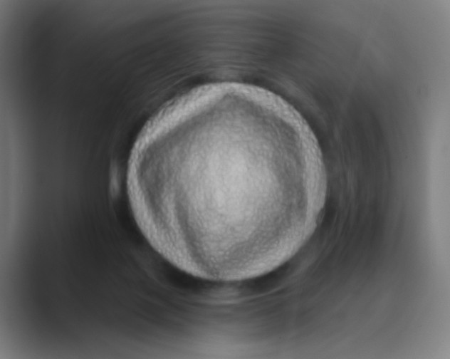 X0000088670075200706281930
