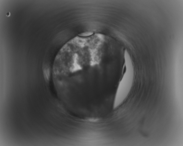 X0000088670076200706281930