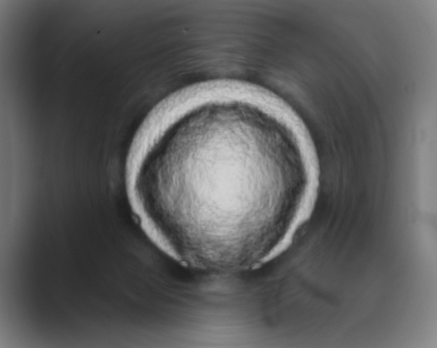 X0000088670077200706281930